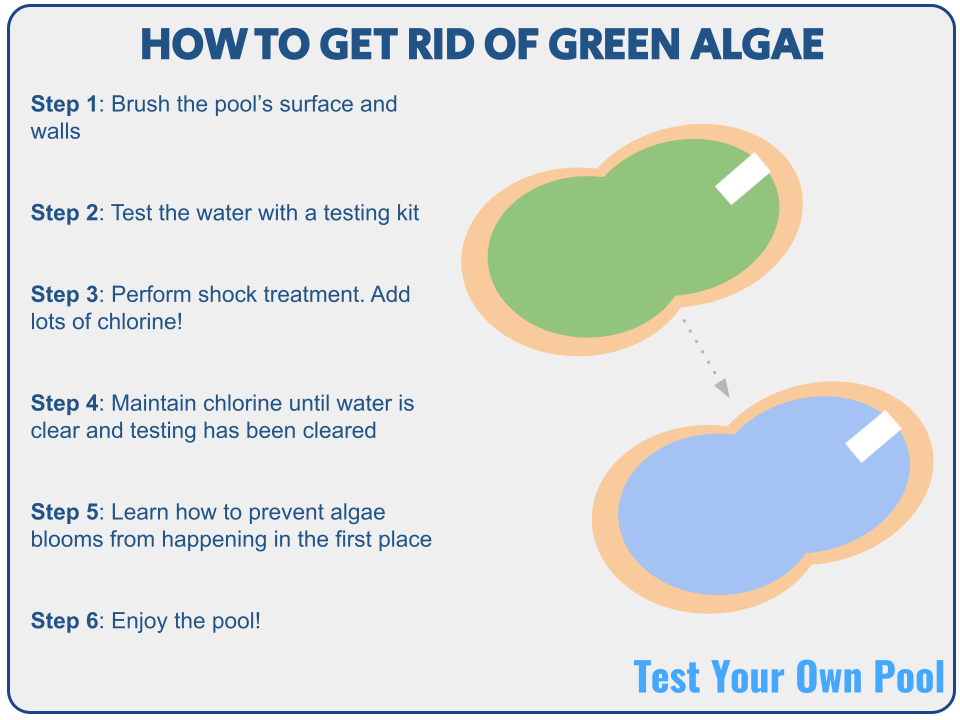 How to Get Rid of Green Algae In A Pool Test Your Own Pool